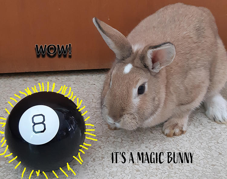 mouse with magic eight ball