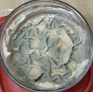 A container of mold