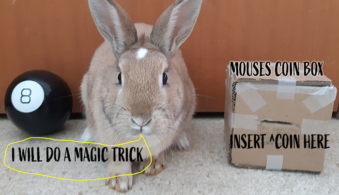 Mouse and a box