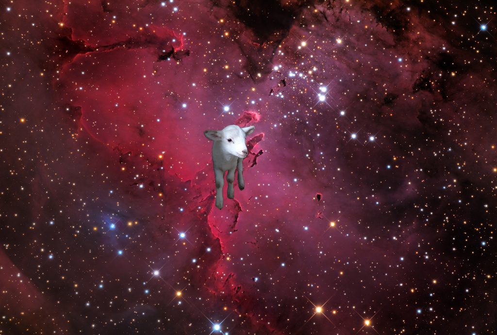 Coco in Space
