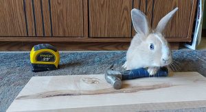 Little bunny with a hammer