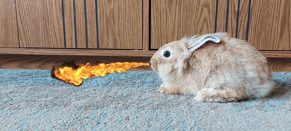 bunny breathing fire