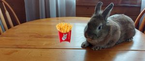Torchy and some Fries